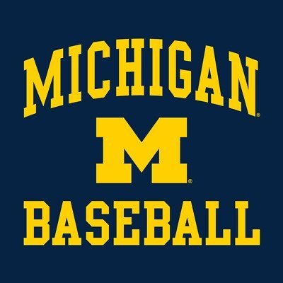BatStow in Michigan Wolverines Home Dugouts | Stickstow - Stickstow